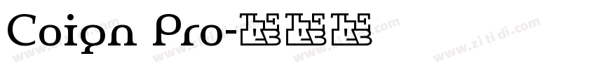 Coign Pro字体转换